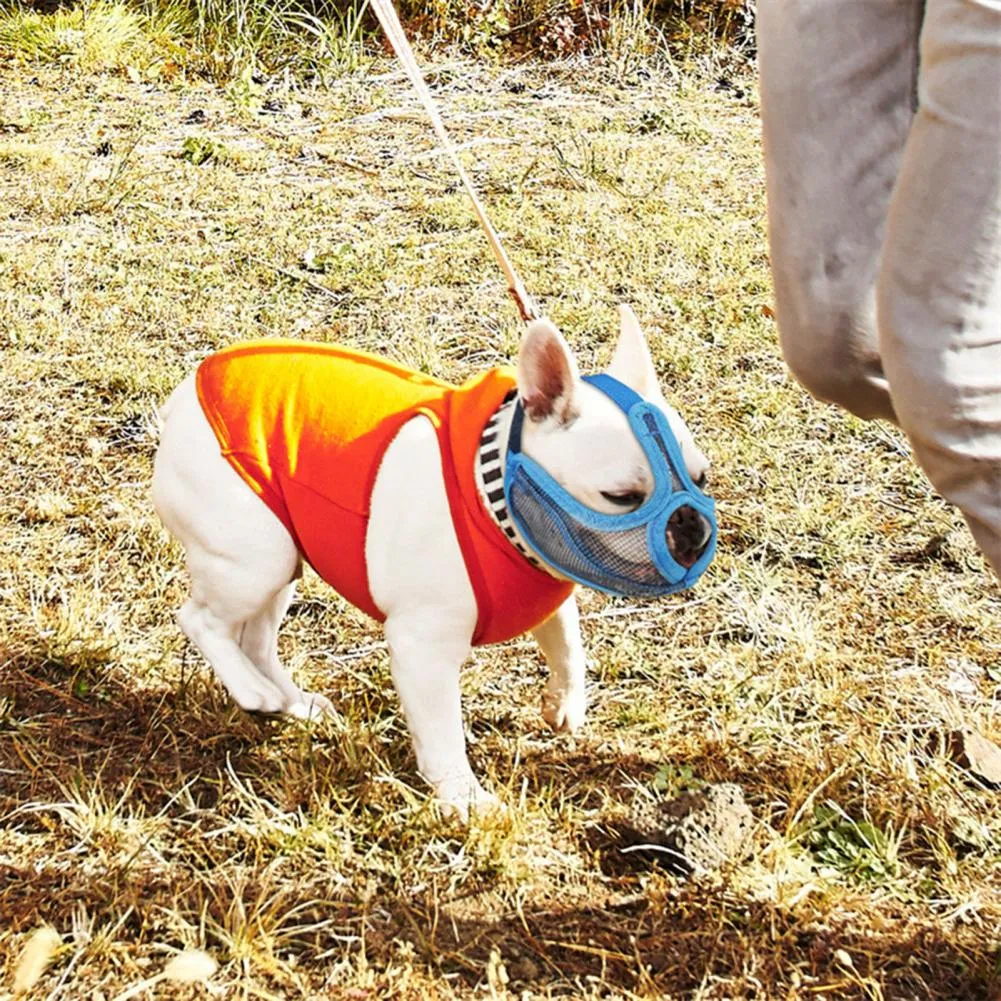Revolutionary Frenchie Muzzle - Effective Anti-Bite Mouthpiece